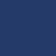DSF-Royal-blue-color-swatch-120x120px@2x.png
